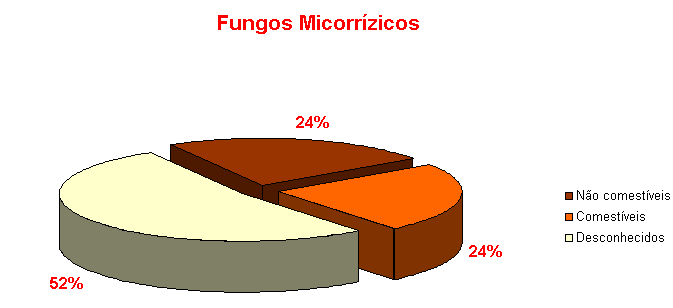 Fungos micorrzicos (comestveis e no comestveis)
