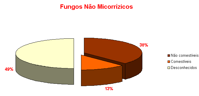Fungos no micorrzicos (comestveis e no comestveis)