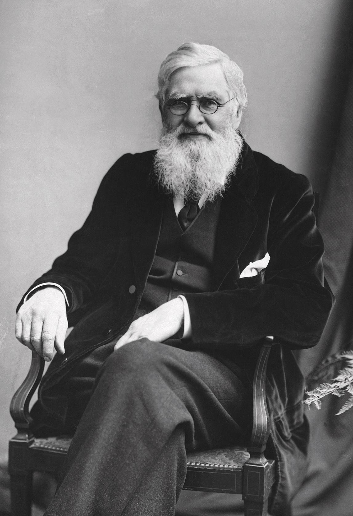 3C Alfred-Russel-Wallace-c1895.jpg