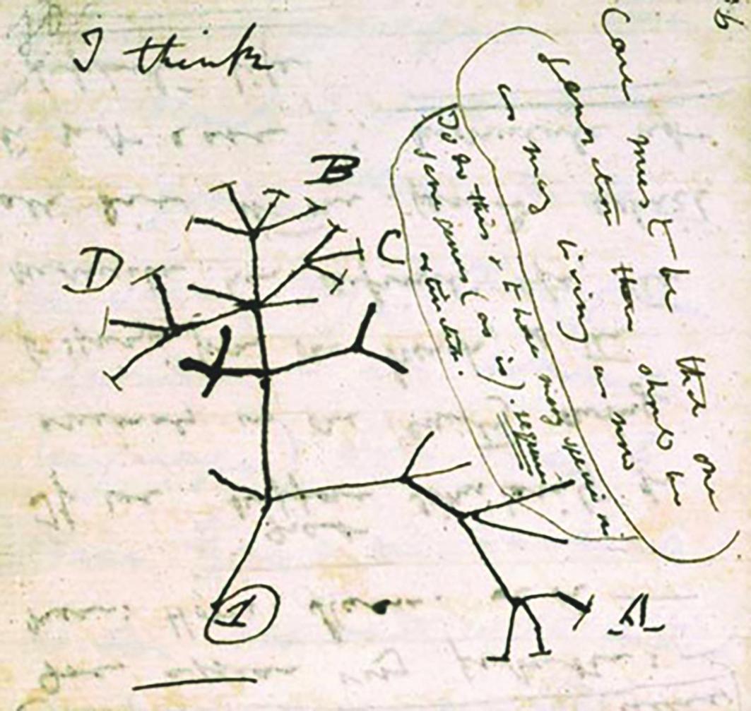 4 darwin-s-notebook.jpg